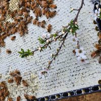 WhatsApp Image 2026-03-09 at 4.36.14 PM (3)