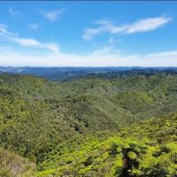 WhatsApp Image 2026-03-09 at 4.36.15 PM (2)