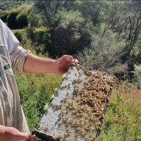 WhatsApp Image 2026-03-09 at 4.36.15 PM